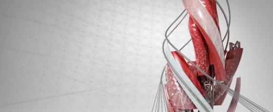 AutoCAD 2016新功能下载